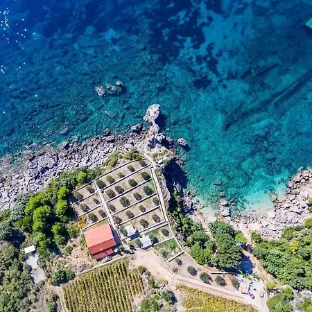 Holiday home Seaside House For Families With Children Postup, Peljesac - 20849